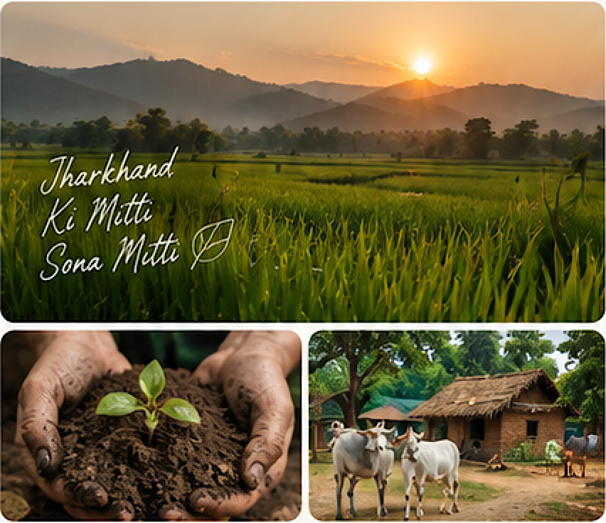 Jharkhand Ki Mitti Sona Mitti - Our Story Collage