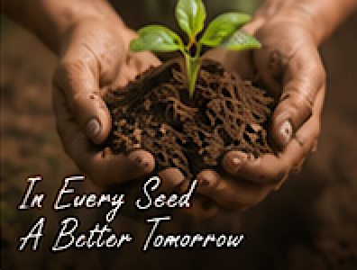 In Every Seed A Better Tomorrow - Seedling in rich soil