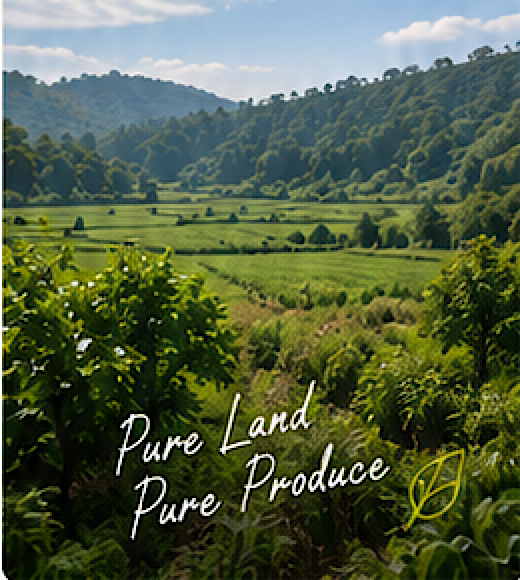 Pure Land Pure Produce - Terraced mountain farm valleys in Jharkhand